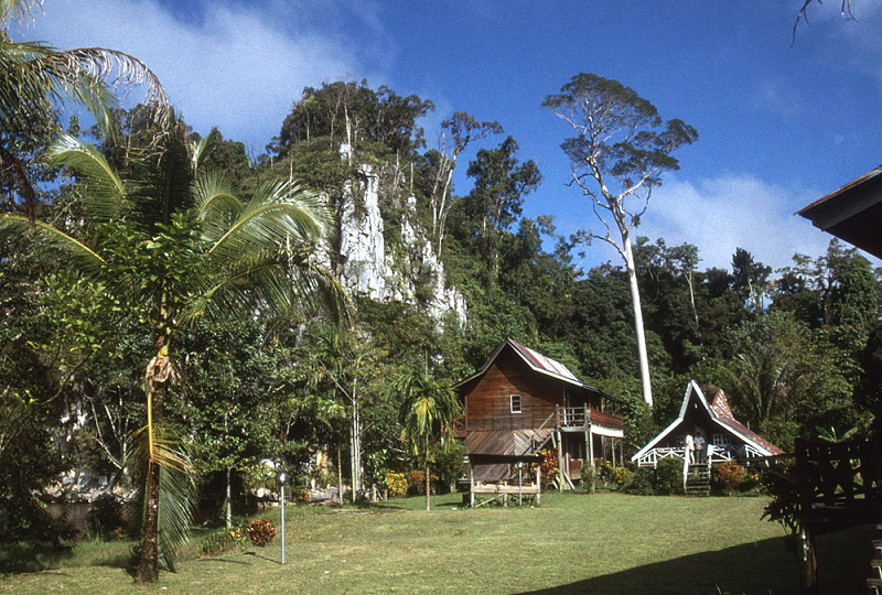 782_De lodge bij Gurung Mulu NP.jpg